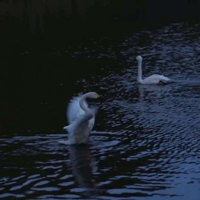 九游体育娱乐官网入口官方截图